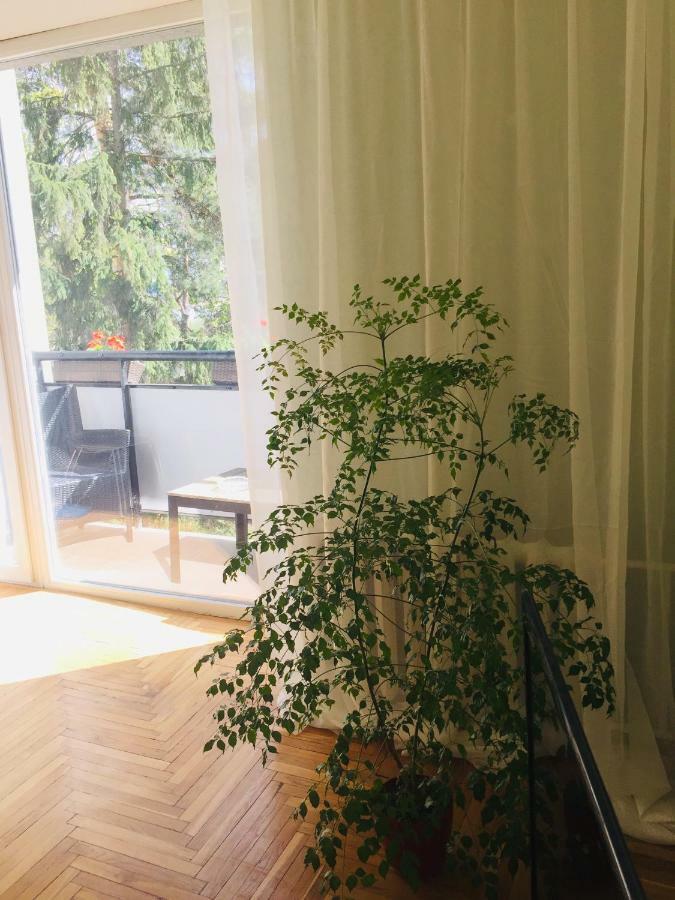 Chaika Flat Apartment Jūrkalne Екстериор снимка